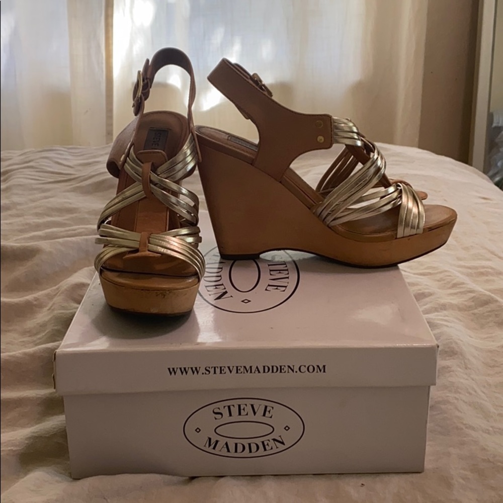 Steve Madden Tampaa